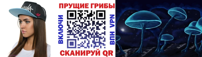 Купить  Холм  Галлюциногенные грибы Magic Shrooms 